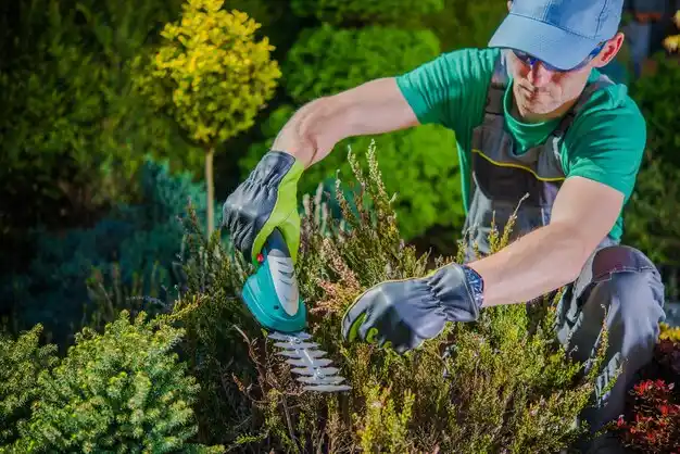 landscaping services Holland Patent